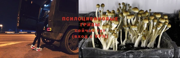 COCAINE Балахна