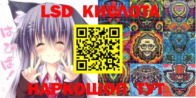 стаф Кунгур