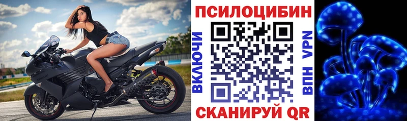 Псилоцибиновые грибы прущие грибы  Семилуки 