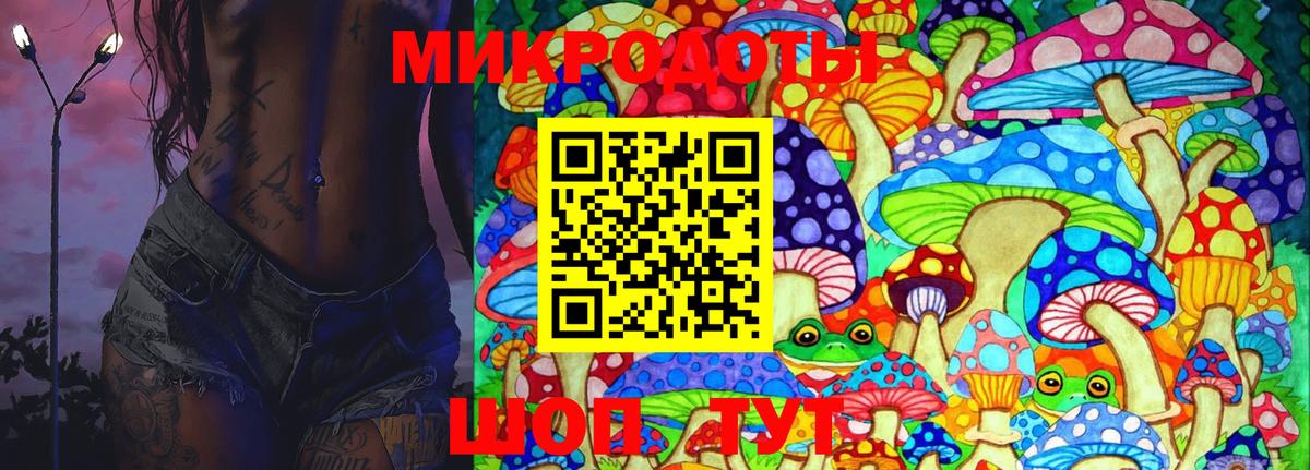 Семилуки  Псилоцибиновые грибы Psilocybine cubensis  Вход с VPN  Псилоцибиновые грибы Cubensis 